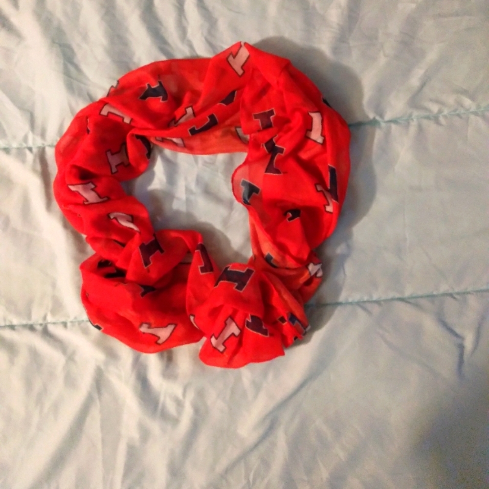 Illinois Infinity Scarf